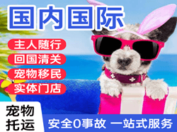 衢州航空快运国际宠物托运 【国